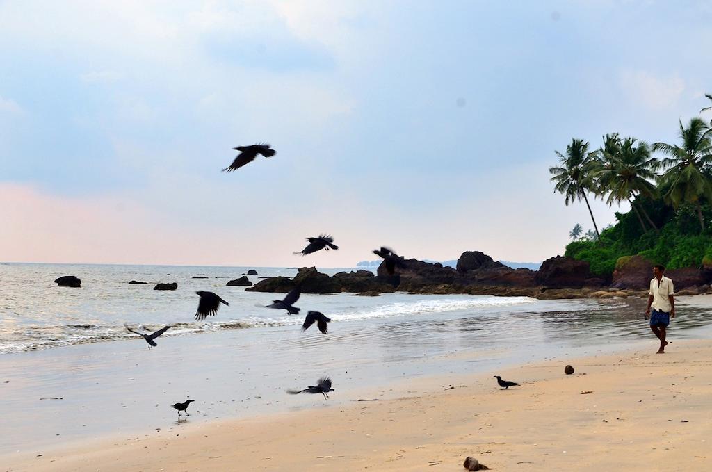 Ocean Green Kerala Kannur Dış mekan fotoğraf