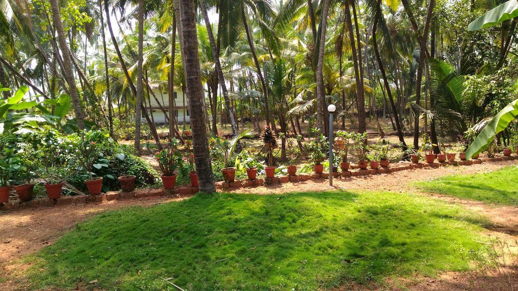 Ocean Green Kerala Daire Kannur Dış mekan fotoğraf