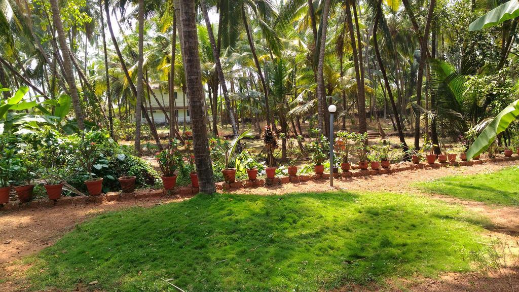 Ocean Green Kerala Kannur Dış mekan fotoğraf