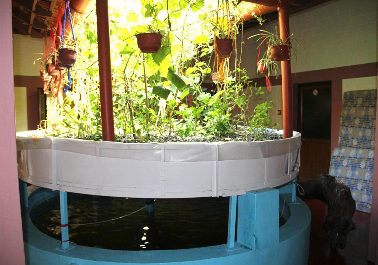 Ocean Green Kerala Kannur Dış mekan fotoğraf
