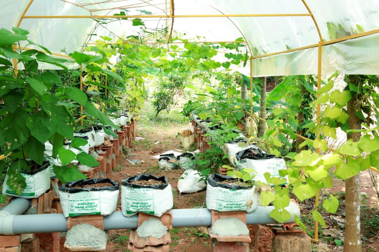 Ocean Green Kerala Kannur Dış mekan fotoğraf