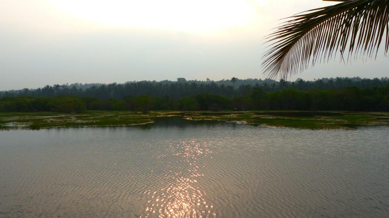 Ocean Green Kerala Kannur Dış mekan fotoğraf