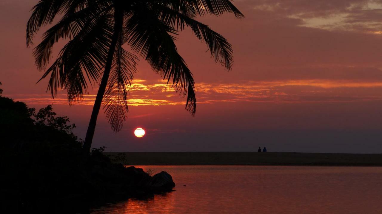 Ocean Green Kerala Daire Kannur Dış mekan fotoğraf